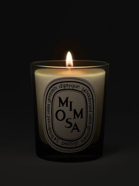 Mimosa Candle